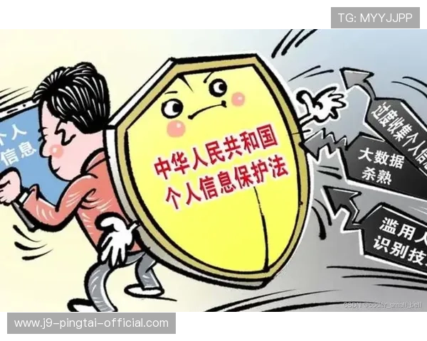 九游游戏中心网页版登录入口安全保障措施,保障玩家账号信息安全与隐私保护